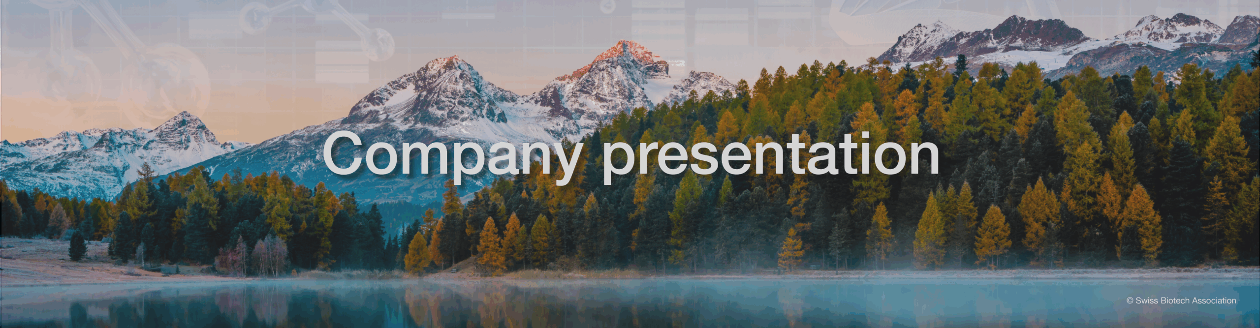 Slider_company_presernations