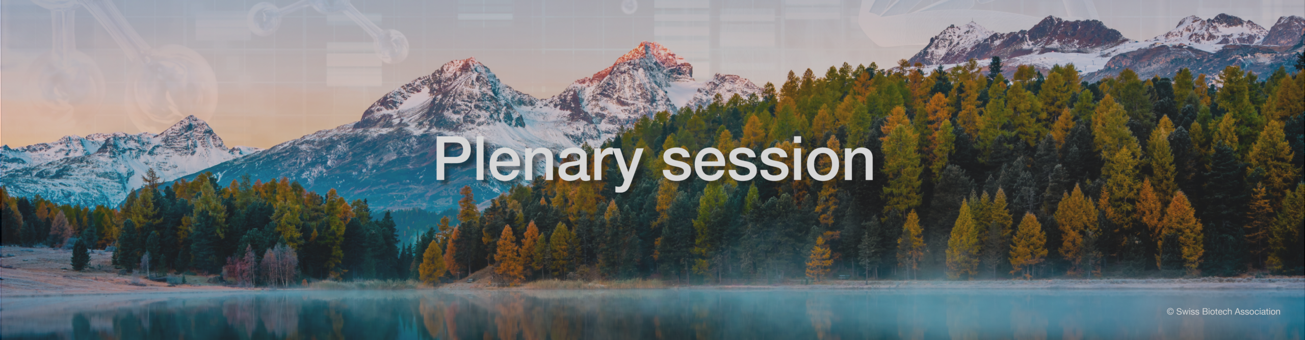 Slider_plenary-session